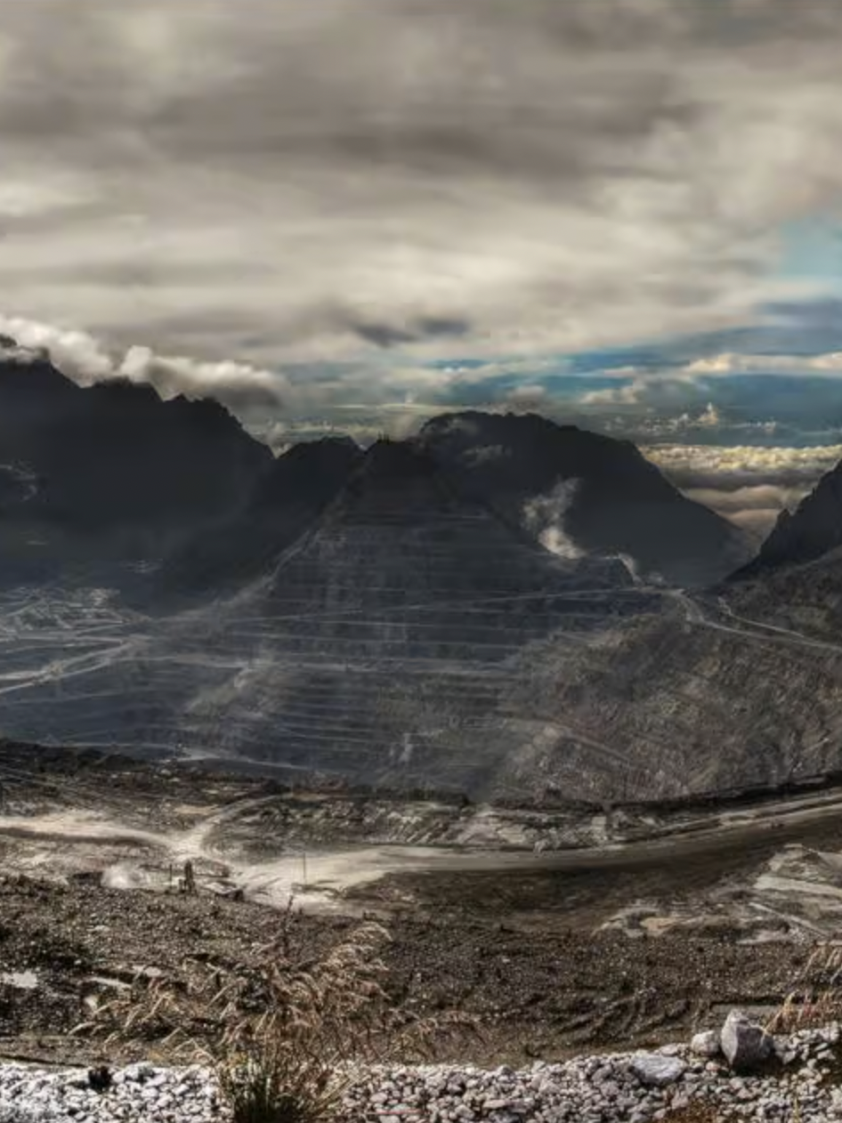 Czas, by prawo zaczęło ścigać ekobójstwo